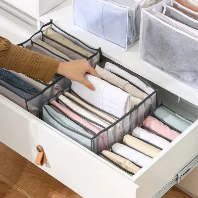 Cloth Organizer Bag (1 pc)